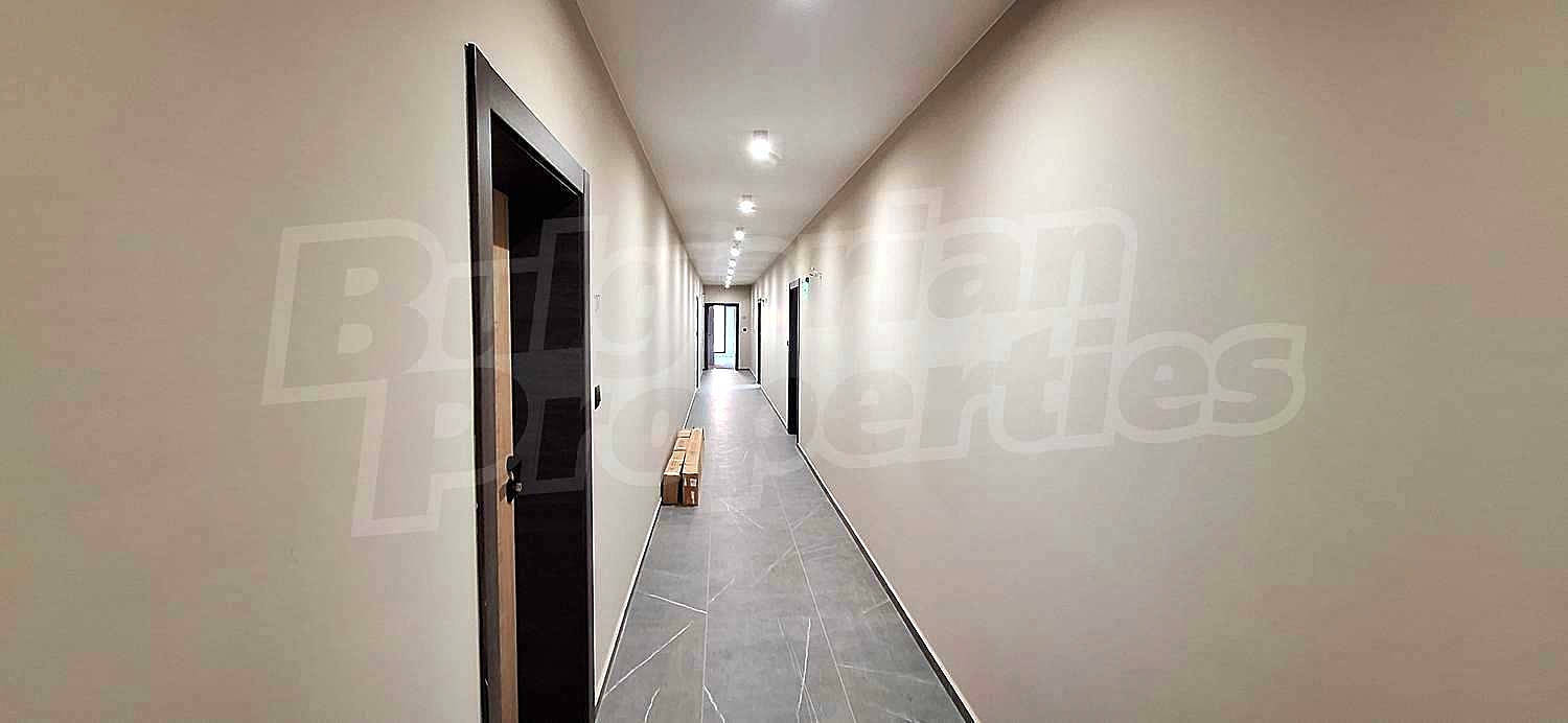 Gallery Picture 11