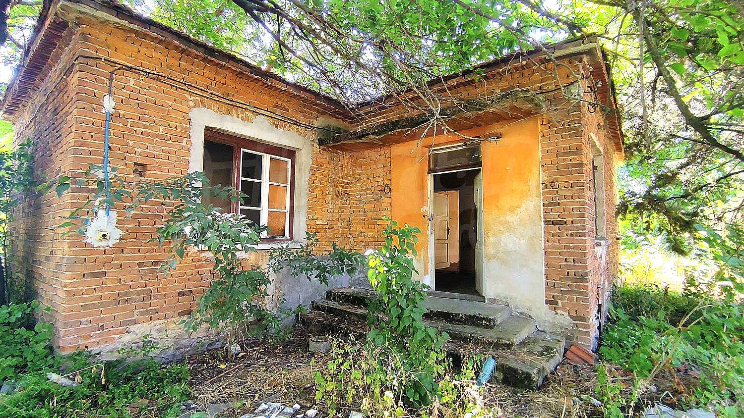 Gallery Picture 6
