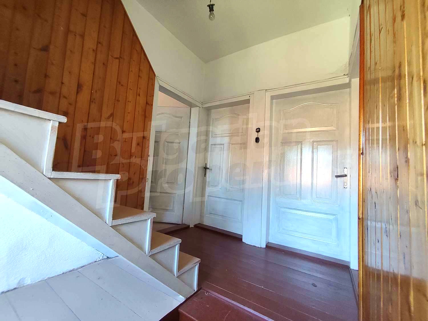 Gallery Picture 19