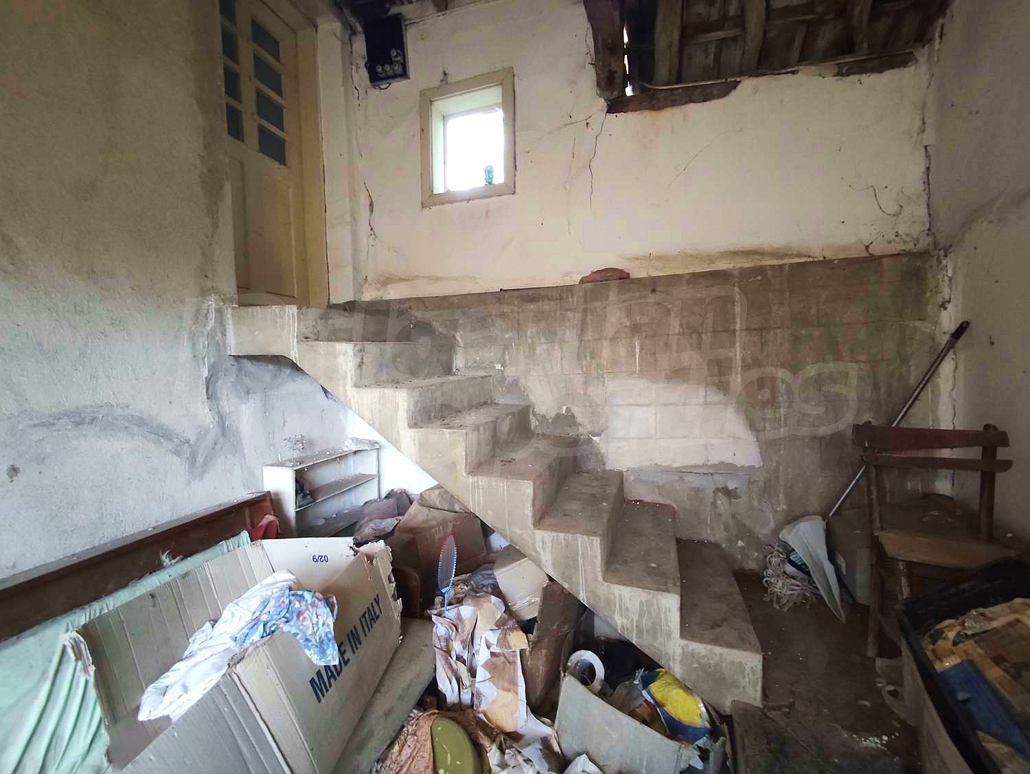Gallery Picture 14
