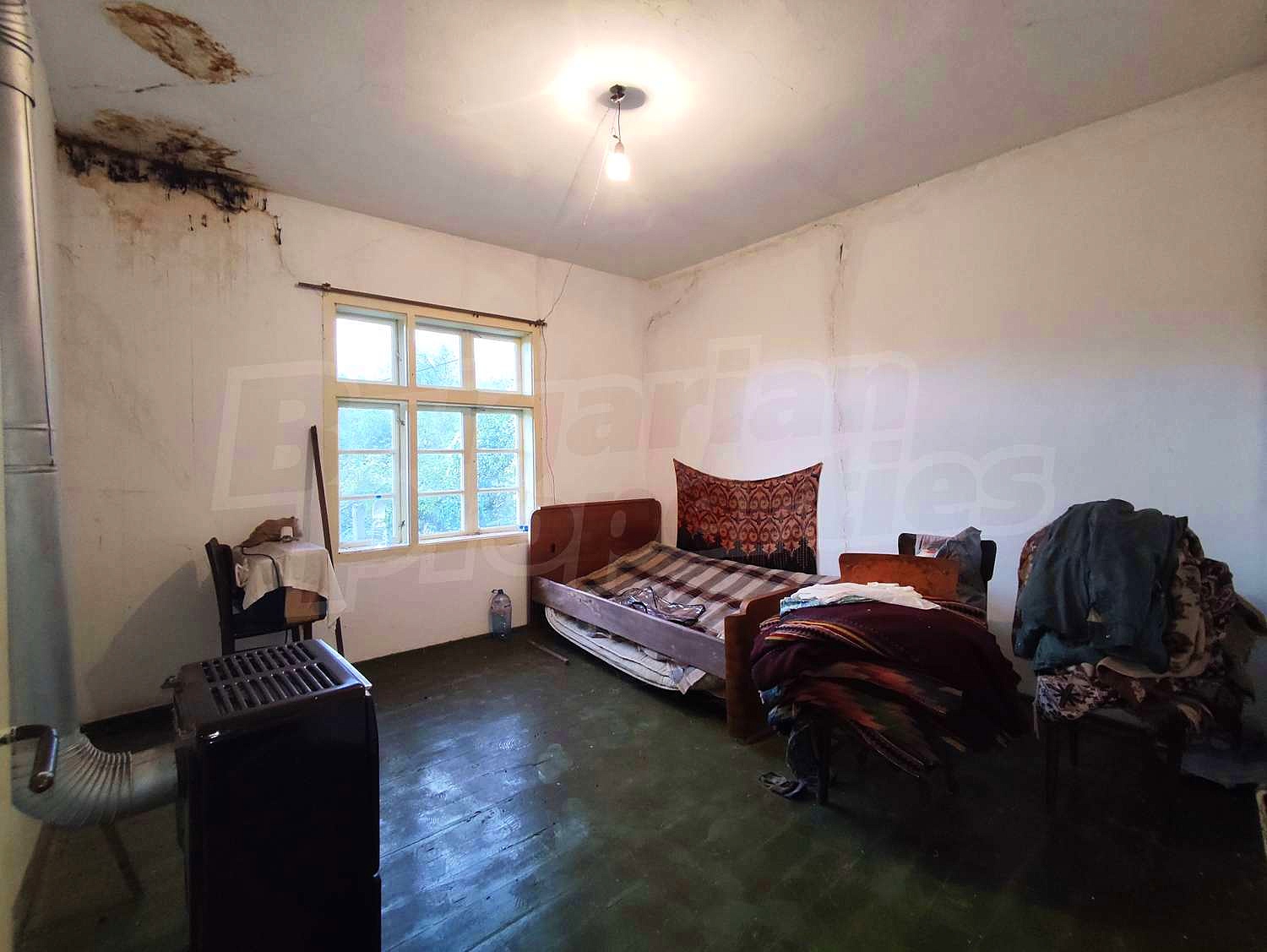 Gallery Picture 19
