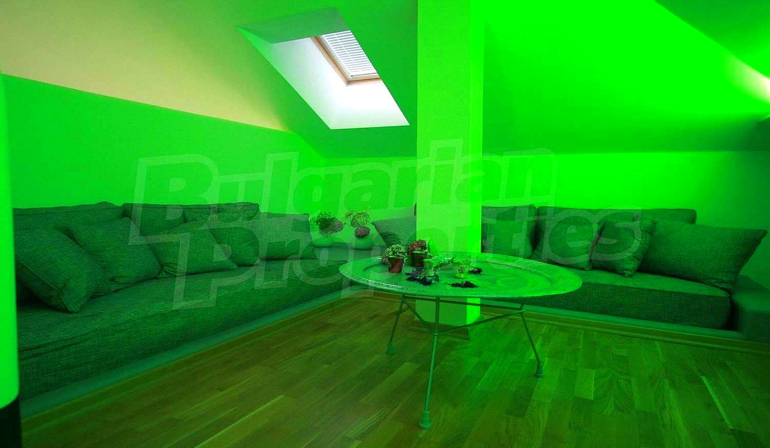 Gallery Picture 16