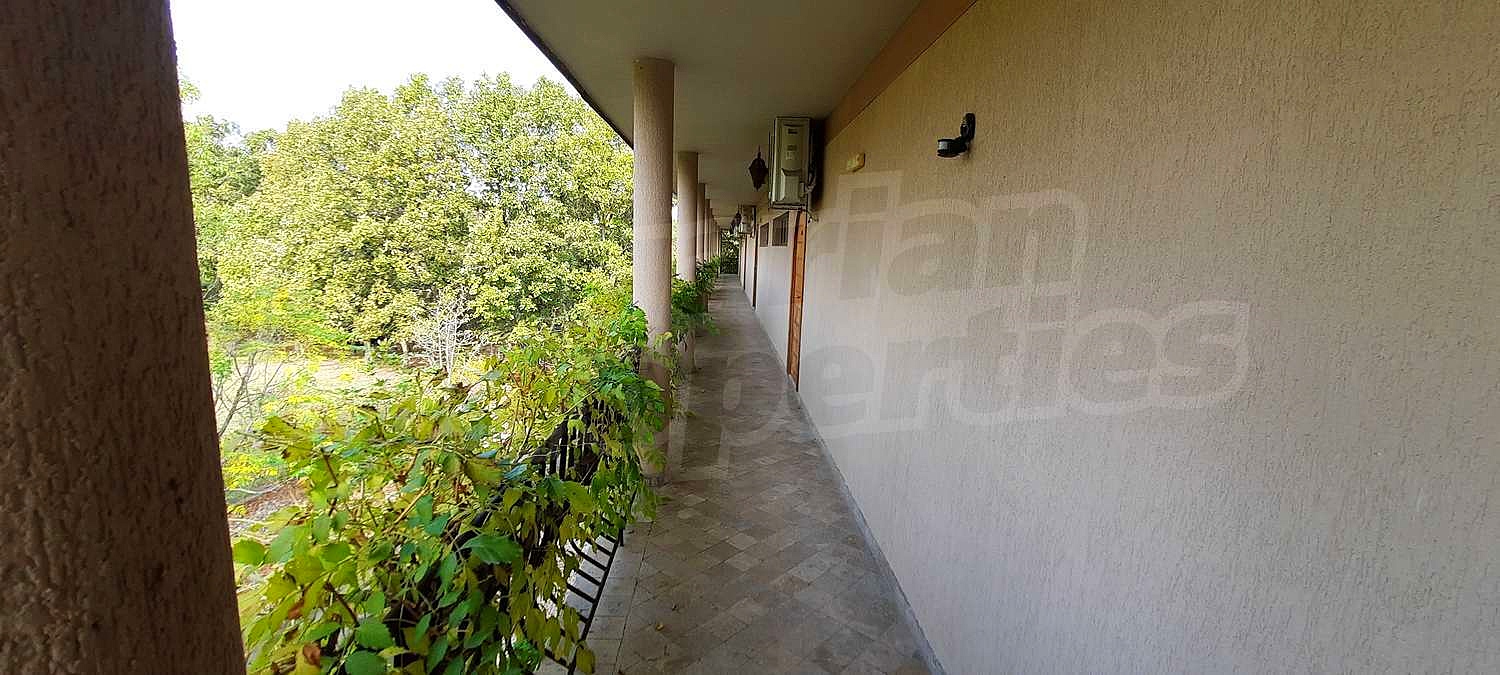Gallery Picture 163