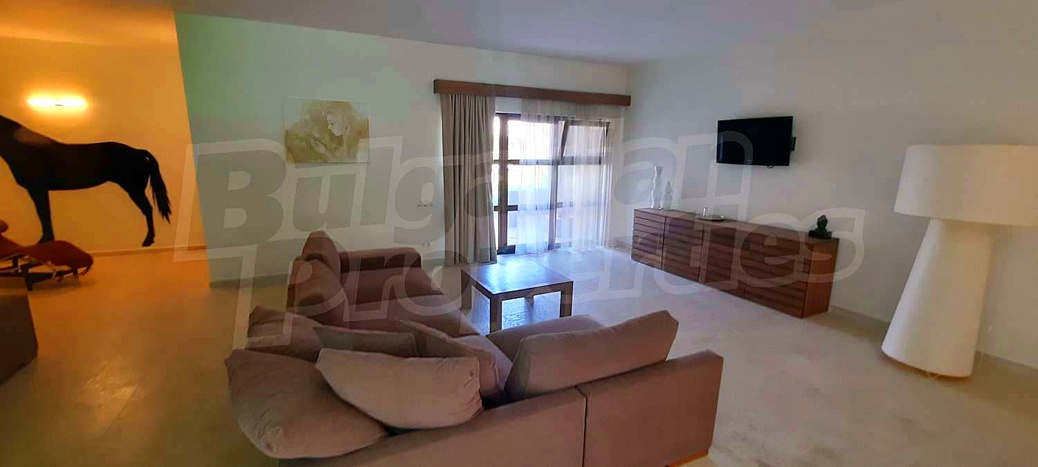 Gallery Picture 58