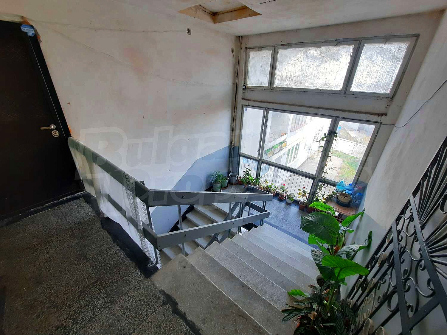 Gallery Picture 15