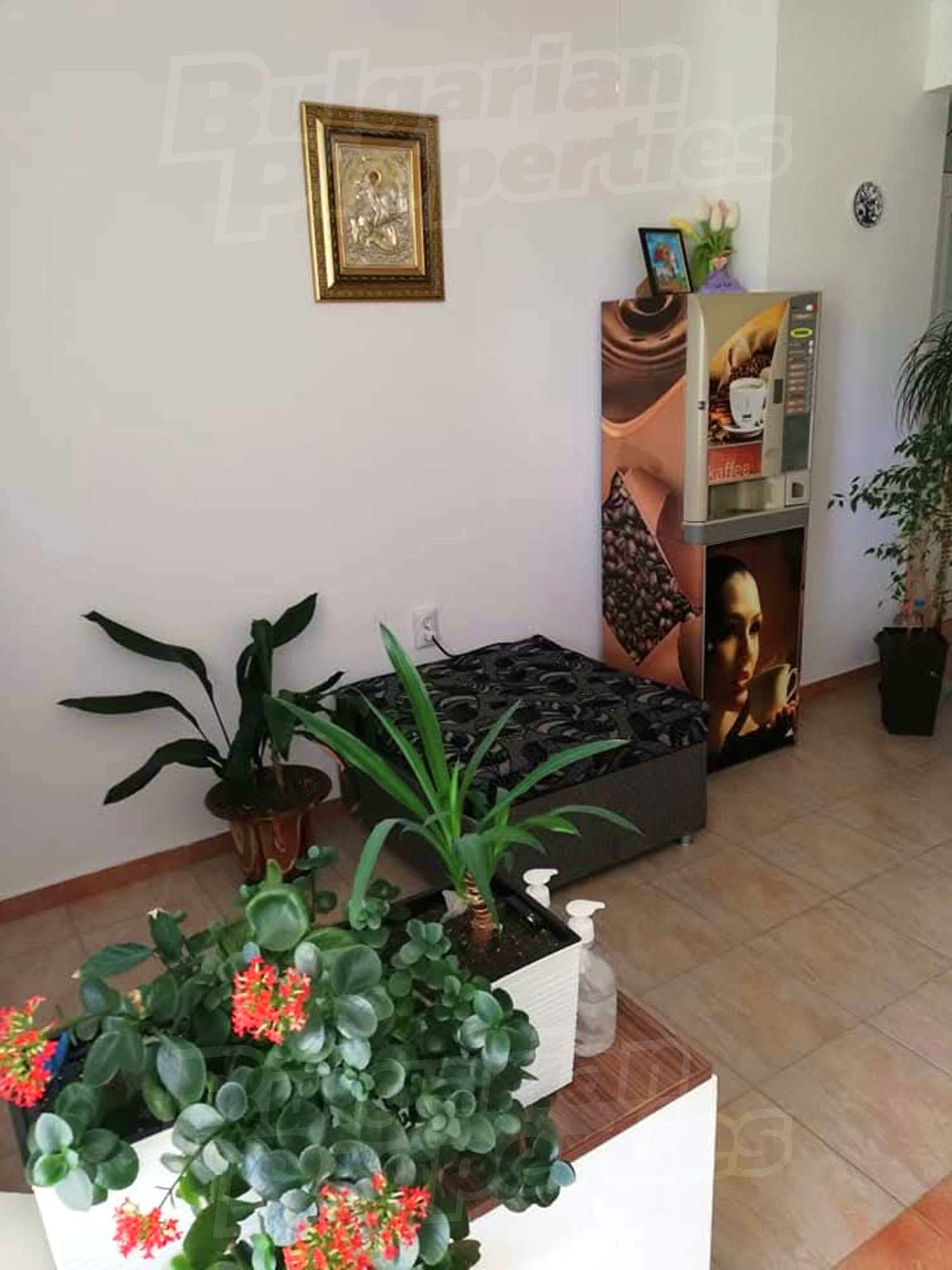 Gallery Picture 13