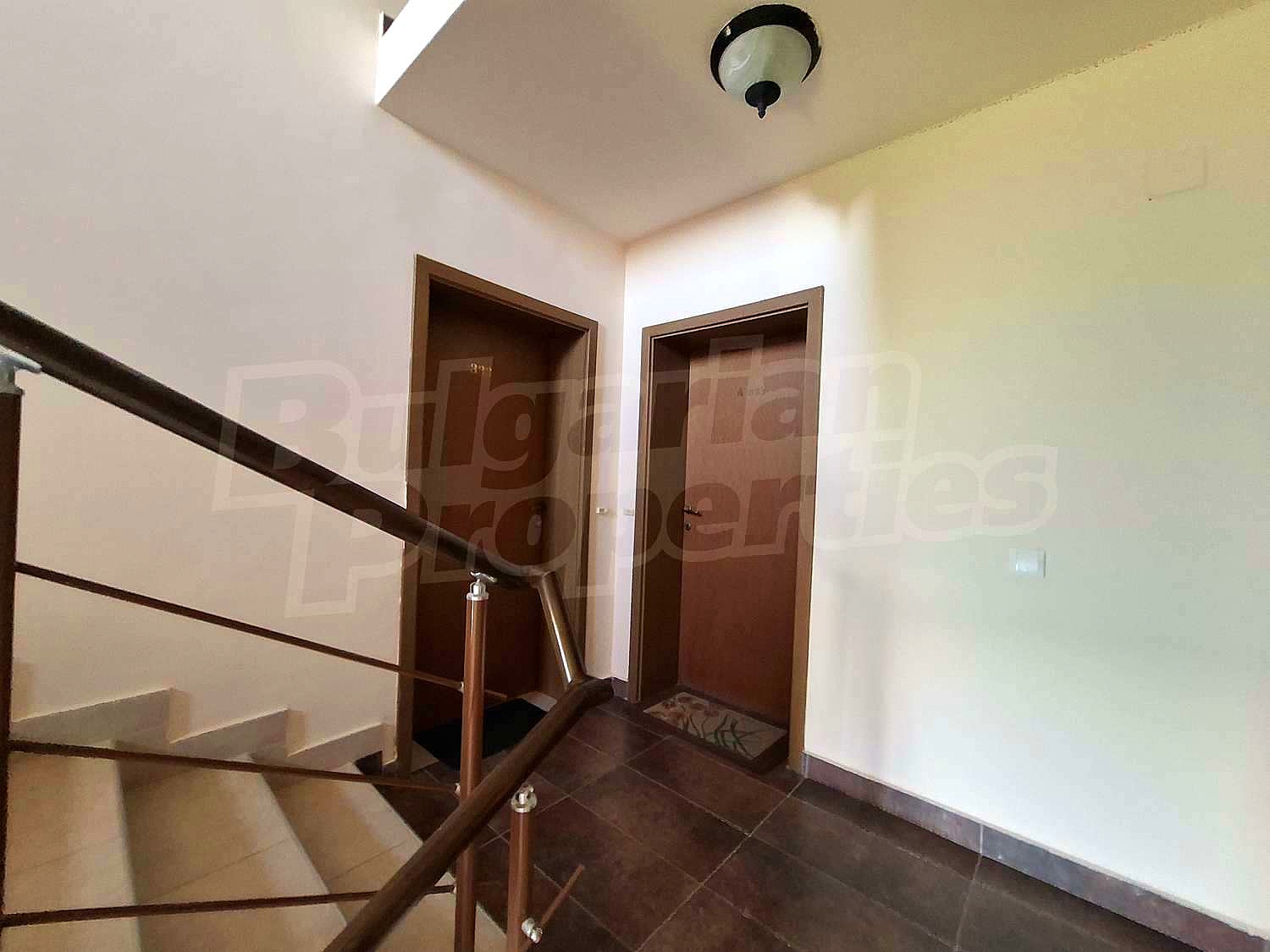 Gallery Picture 16