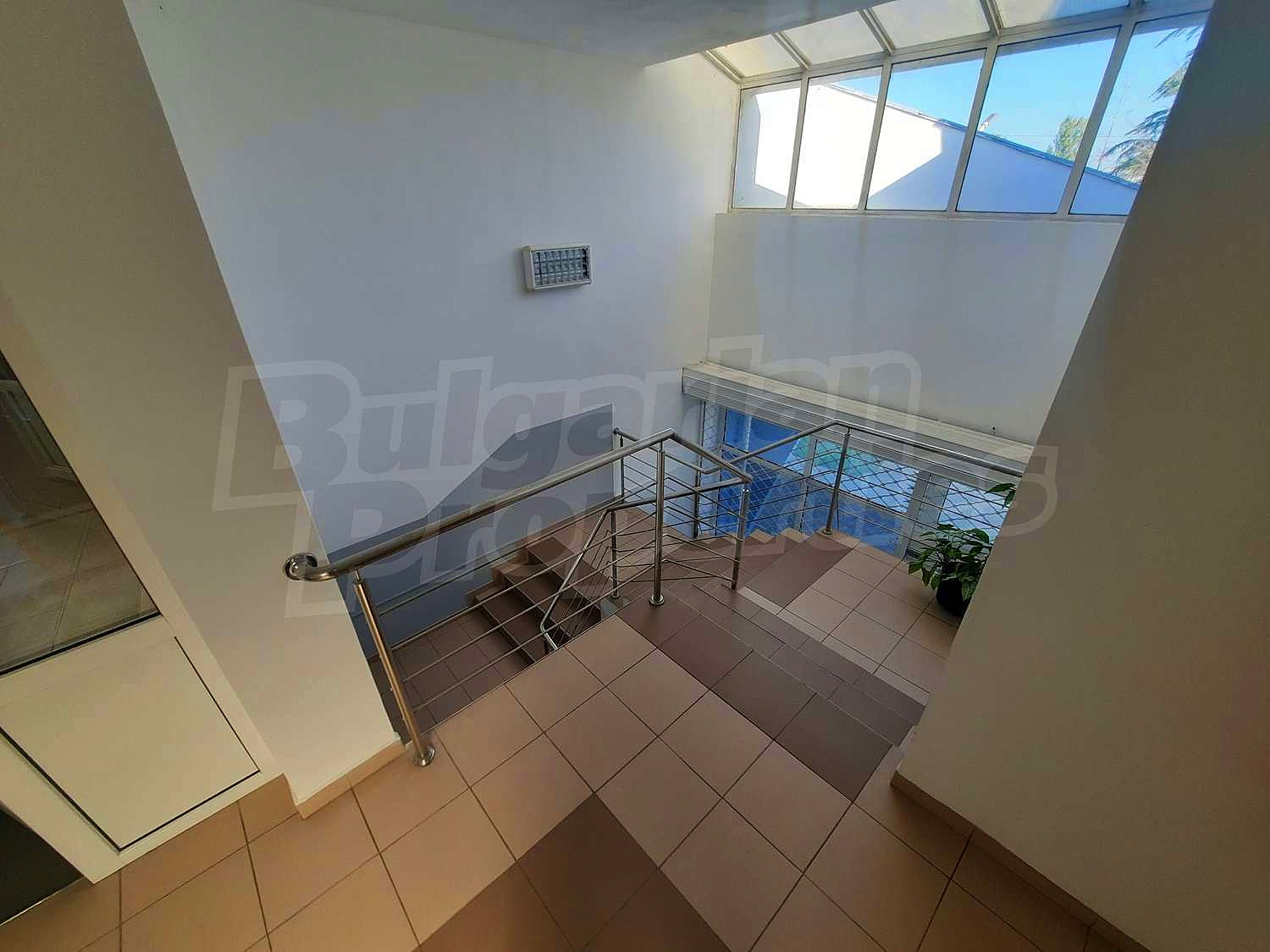 Gallery Picture 14