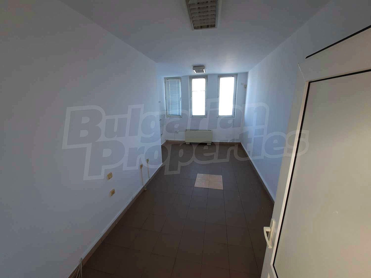 Gallery Picture 16
