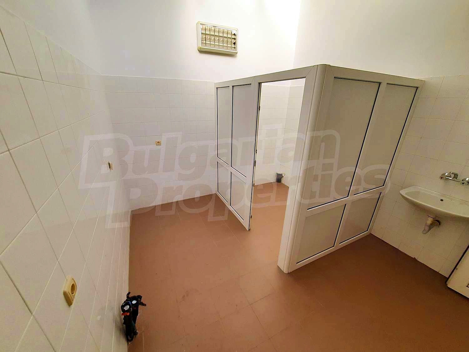 Gallery Picture 19