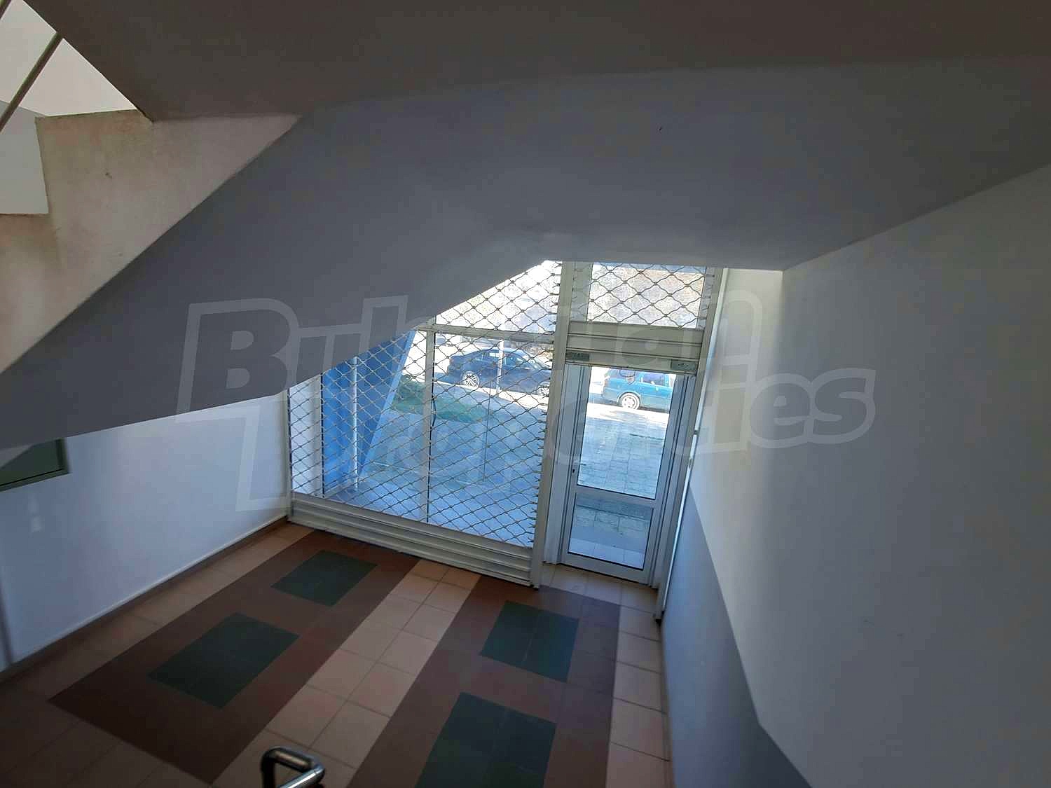 Gallery Picture 8
