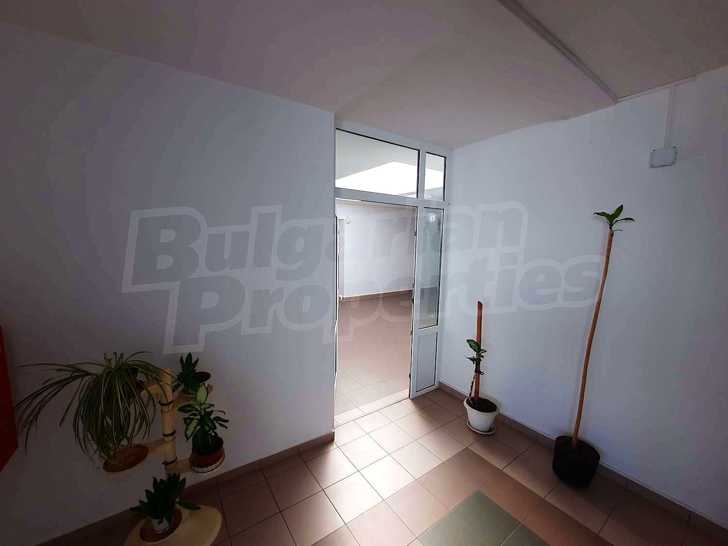 Gallery Picture 10