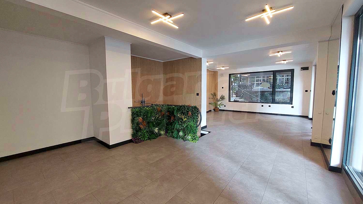 Gallery Picture 3