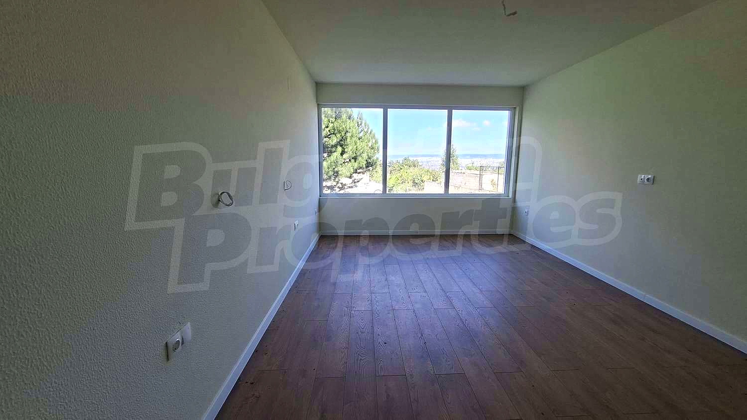 Gallery Picture 14