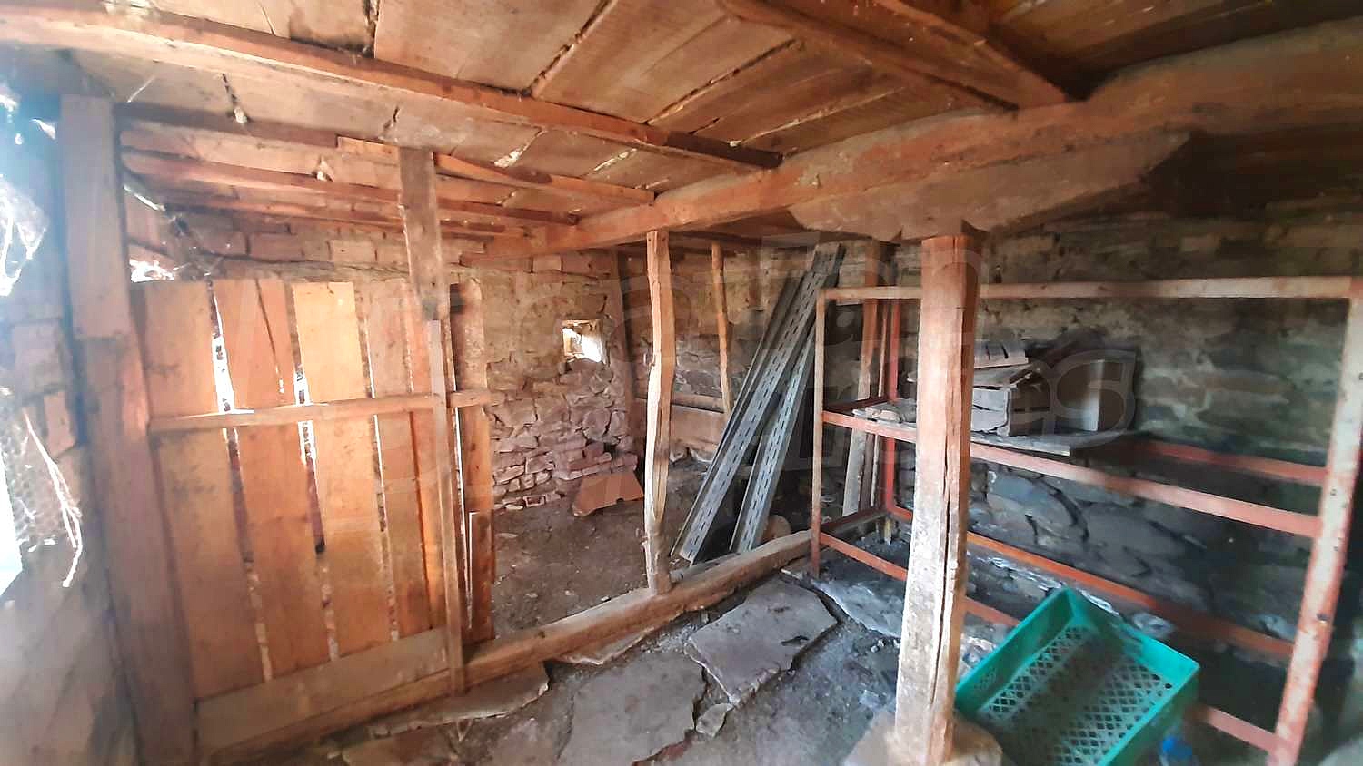 Gallery Picture 14
