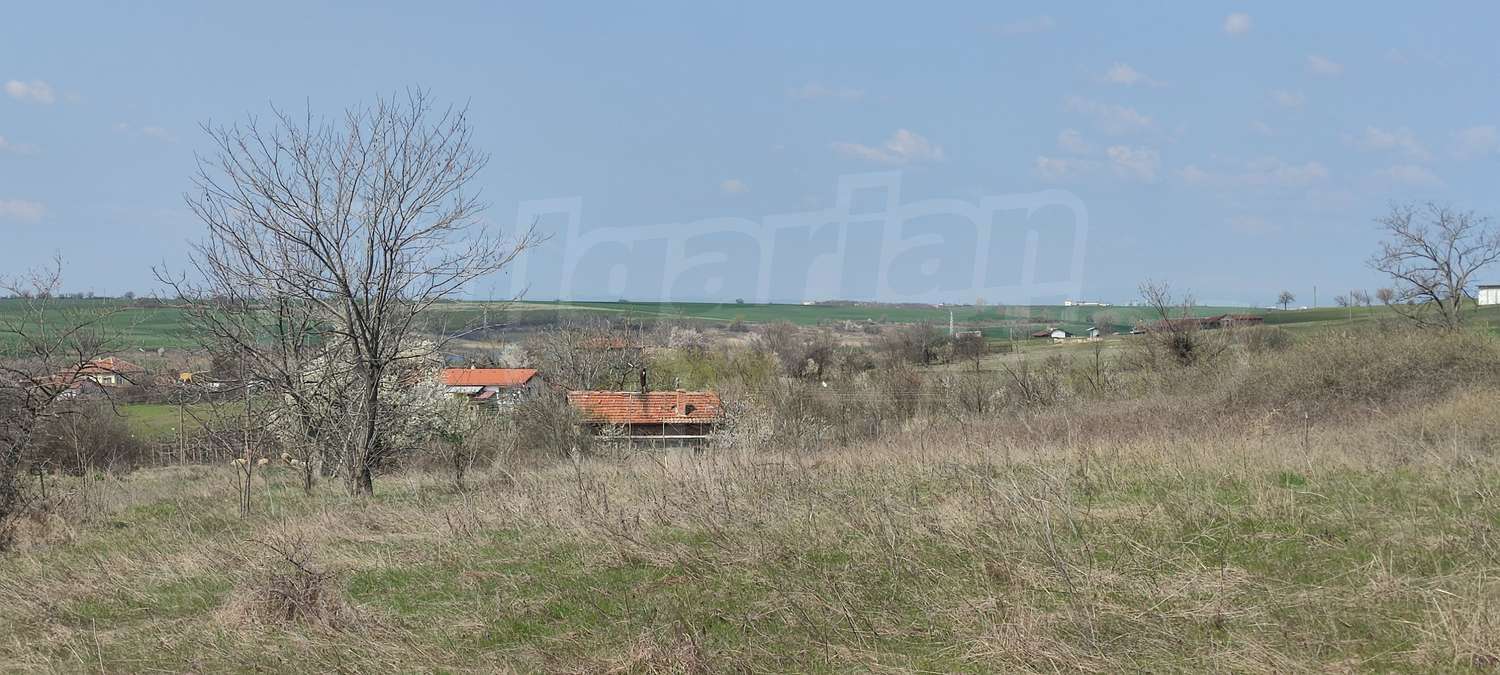 Gallery Picture 3