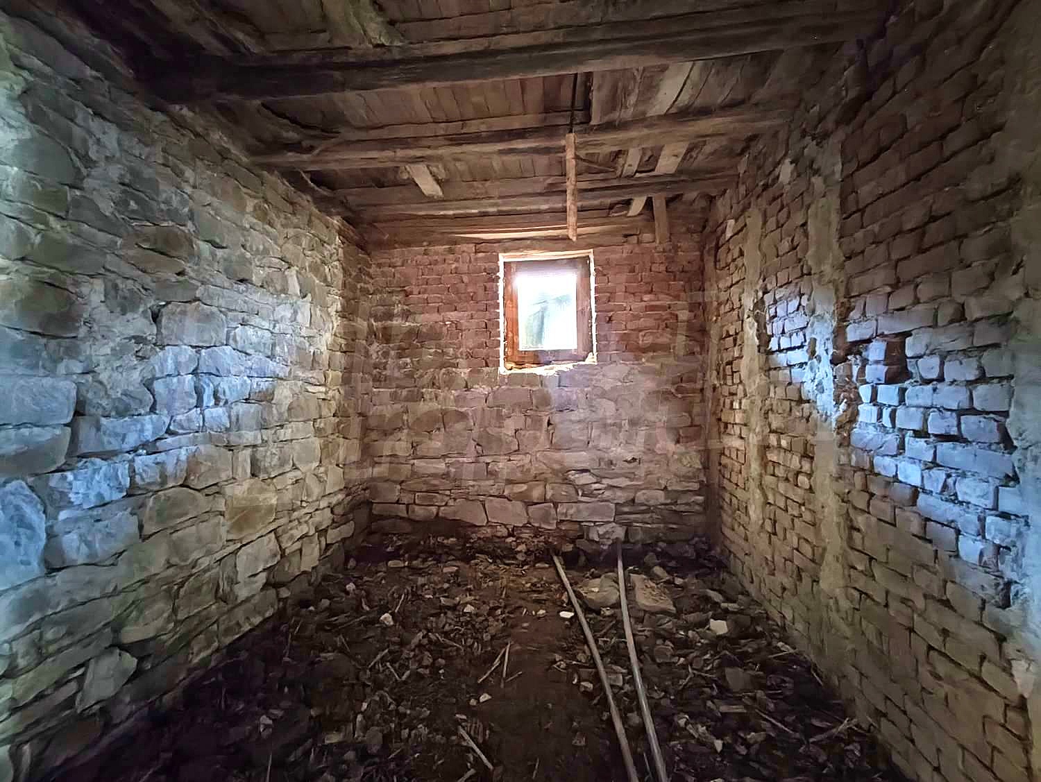 Gallery Picture 23