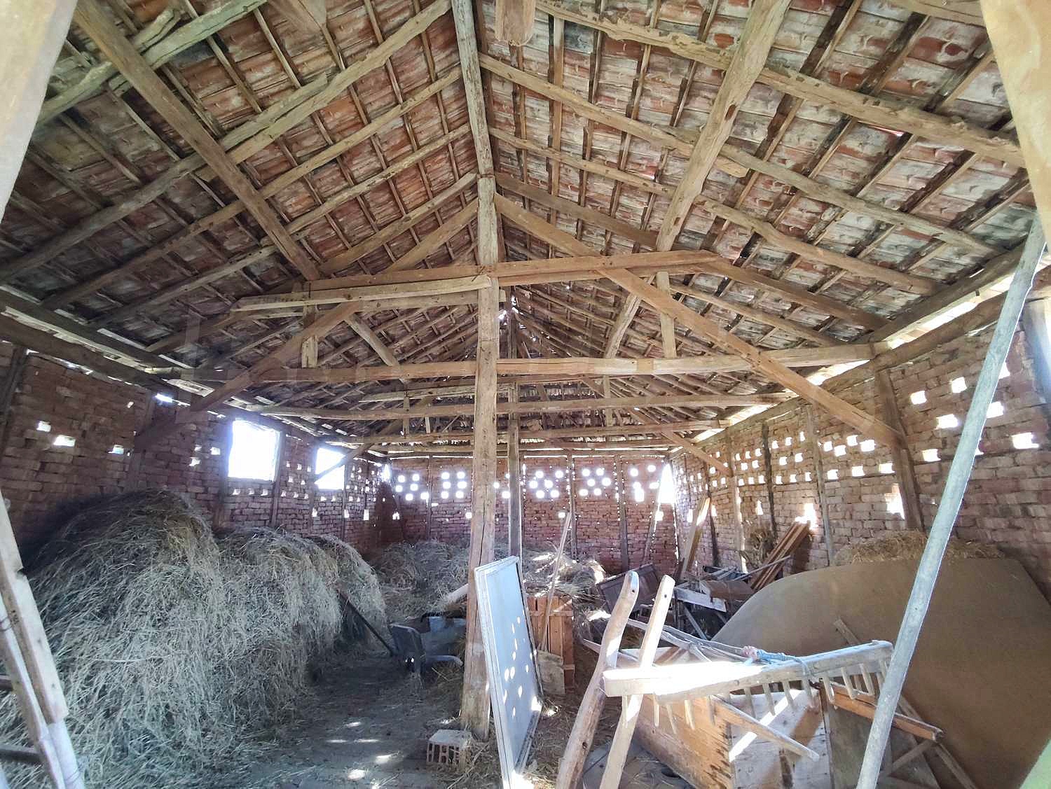 Gallery Picture 36