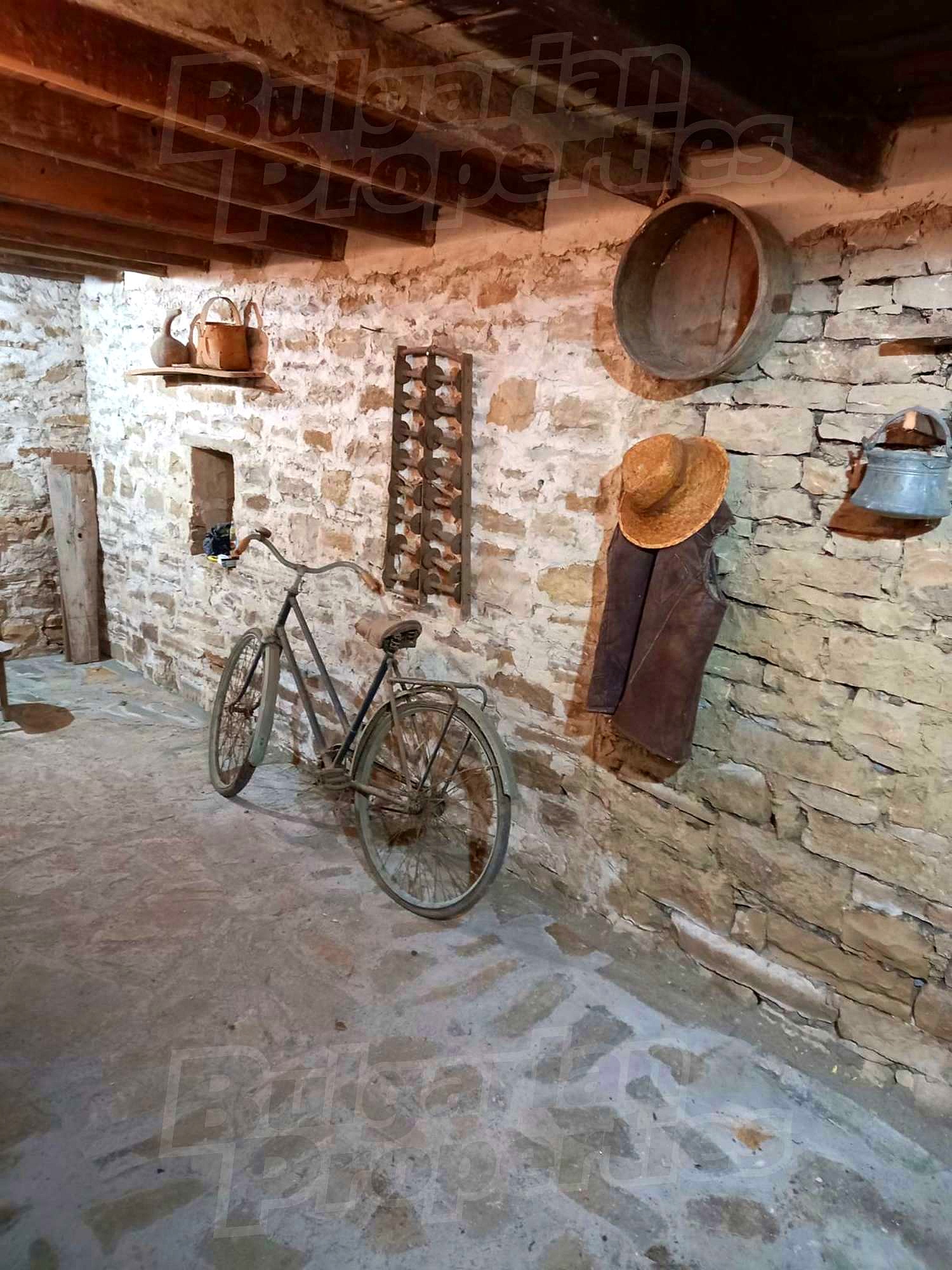 Gallery Picture 19