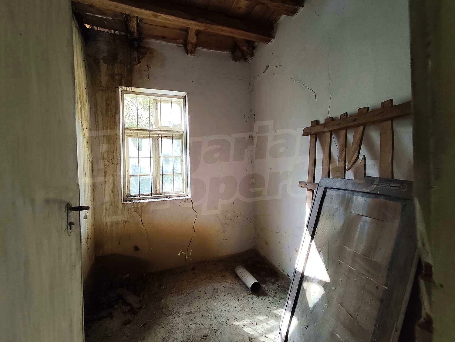 Gallery Picture 18