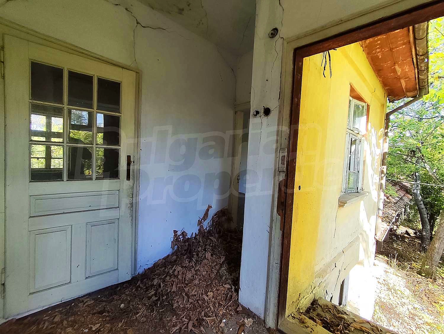 Gallery Picture 15