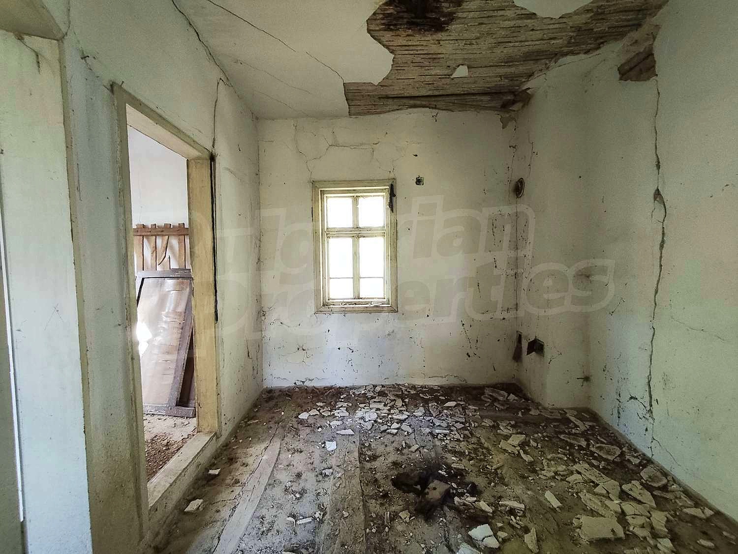 Gallery Picture 16