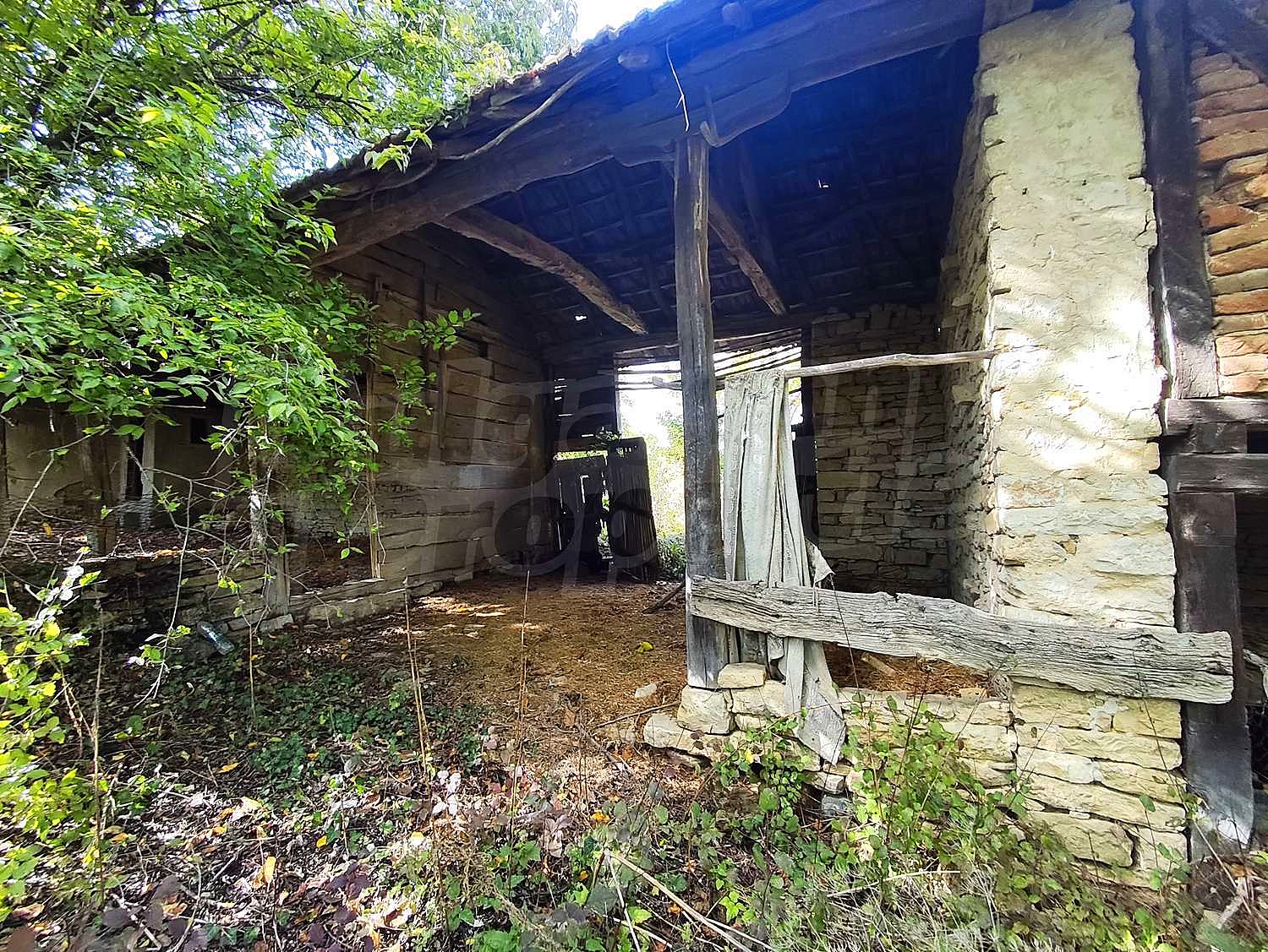 Gallery Picture 23