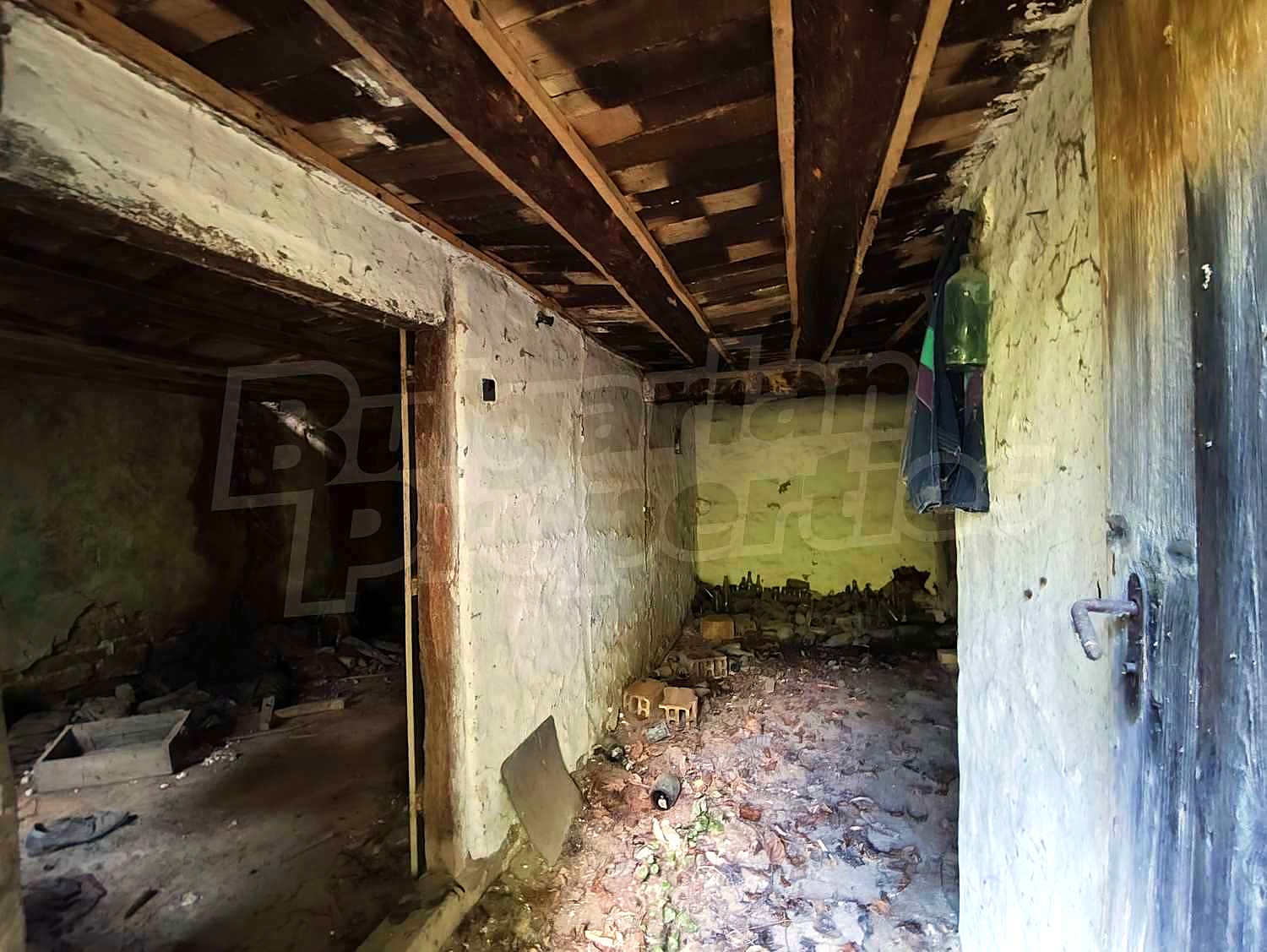 Gallery Picture 11