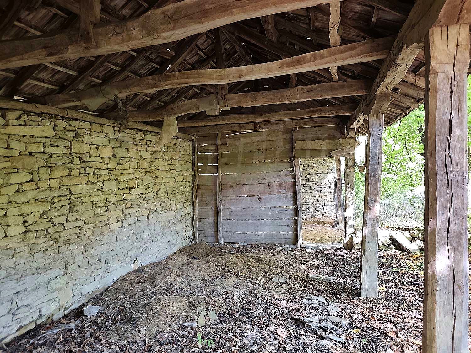 Gallery Picture 10