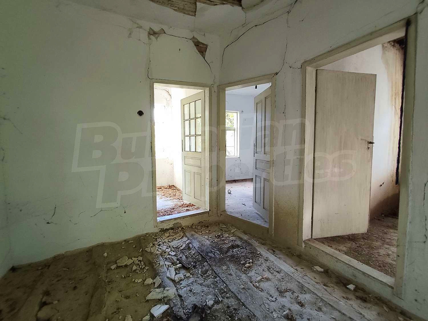 Gallery Picture 17