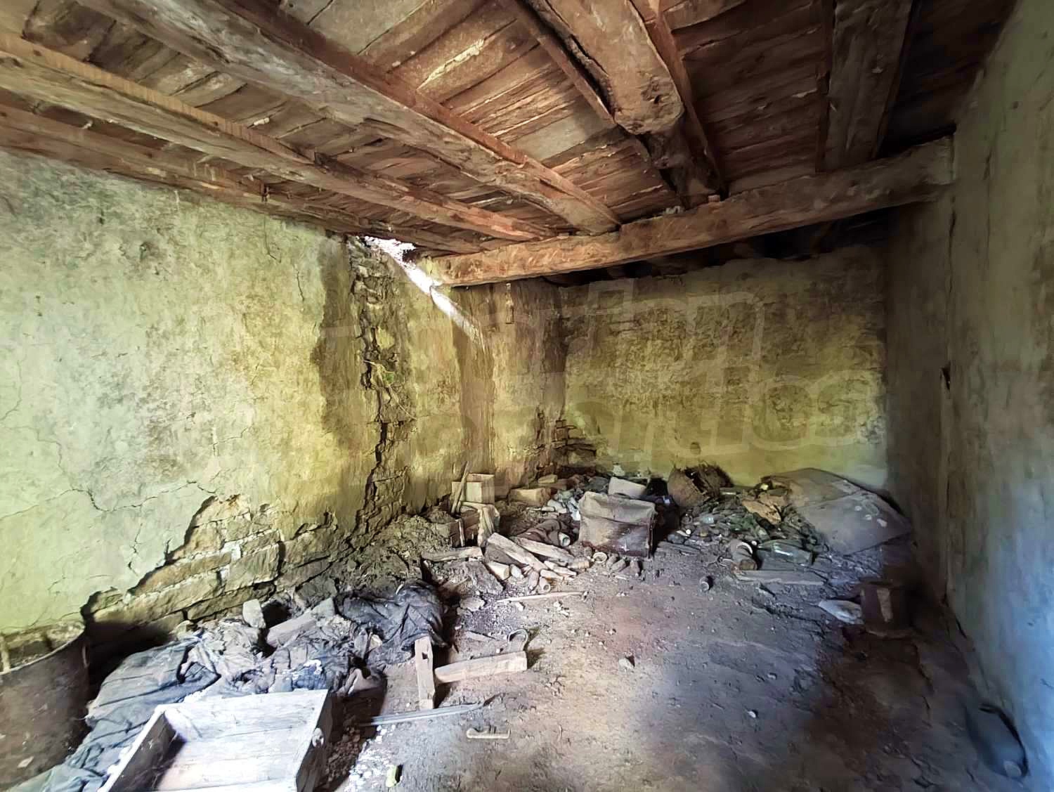 Gallery Picture 12