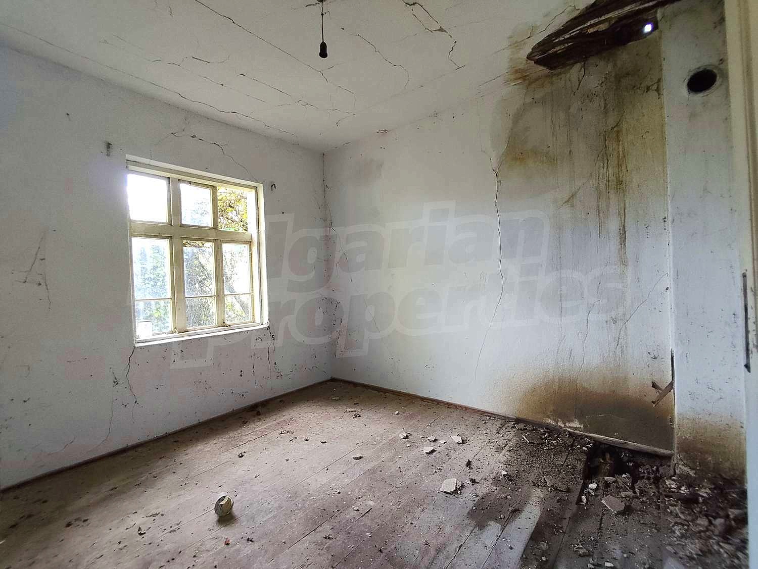 Gallery Picture 19