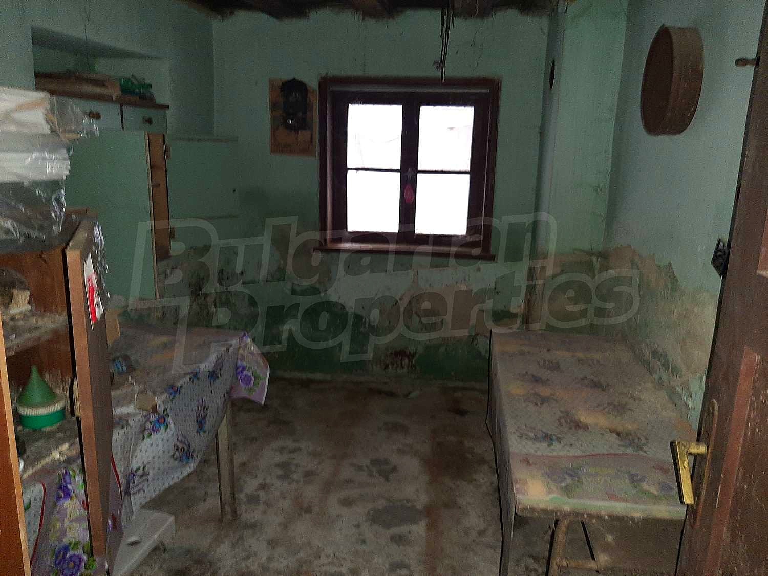 Gallery Picture 3