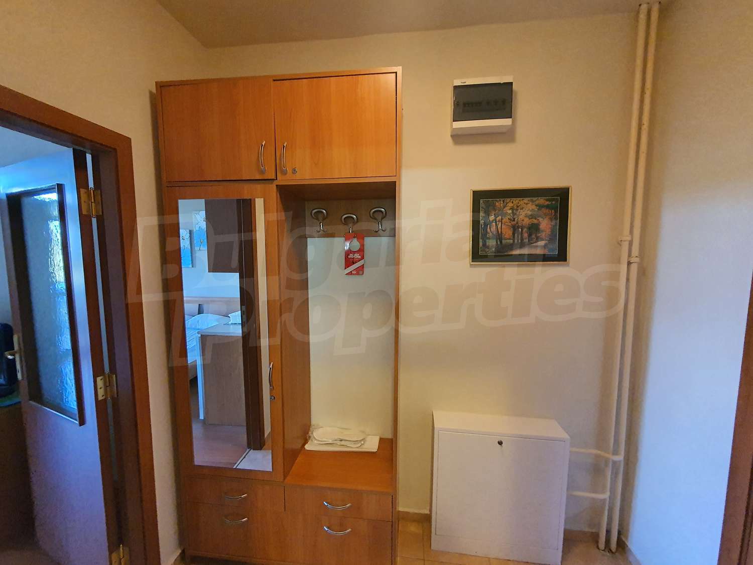 Gallery Picture 11