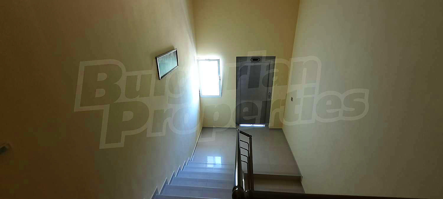 Gallery Picture 16
