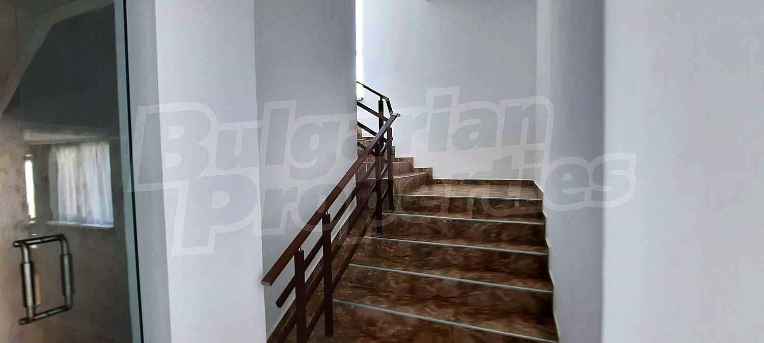 Gallery Picture 40