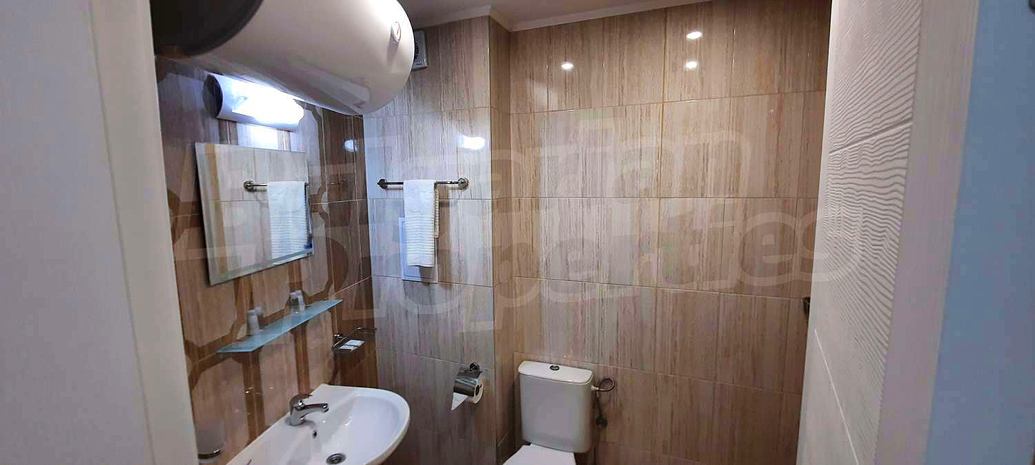 Gallery Picture 38