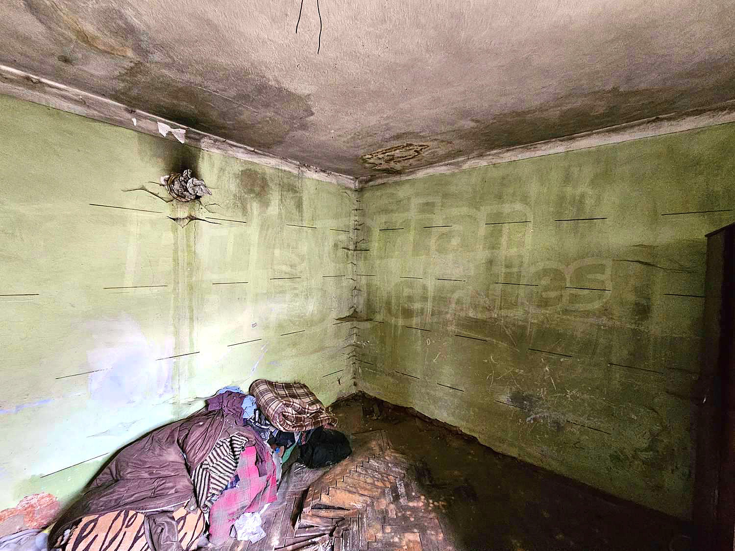 Gallery Picture 15