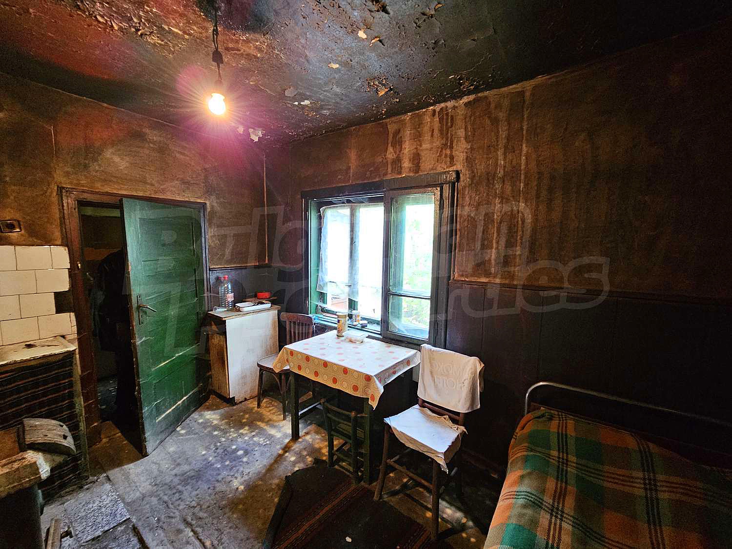 Gallery Picture 11