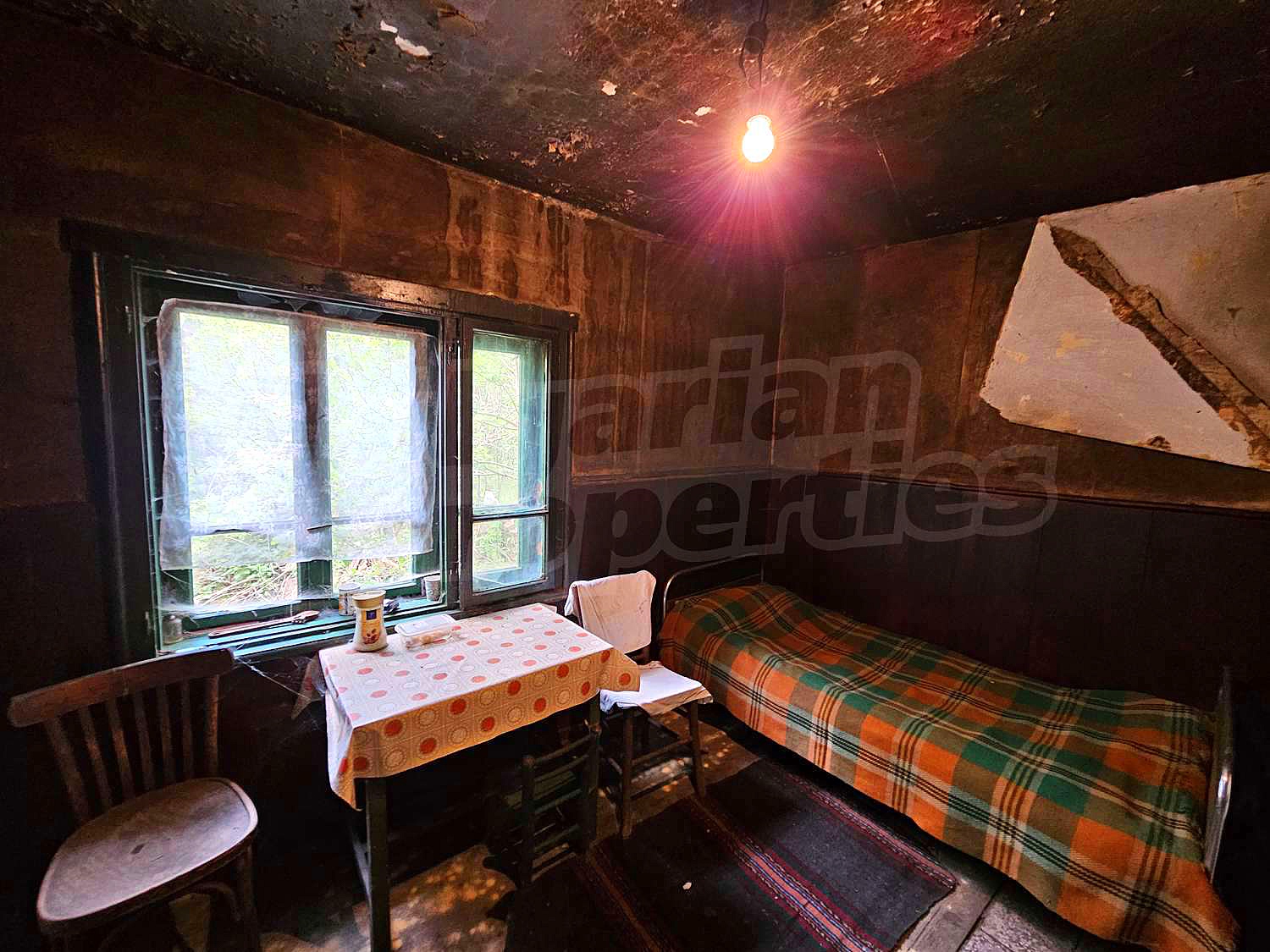 Gallery Picture 10