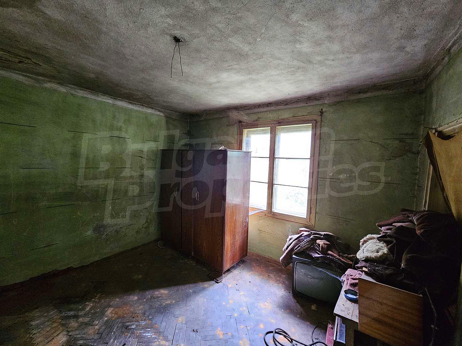 Gallery Picture 14