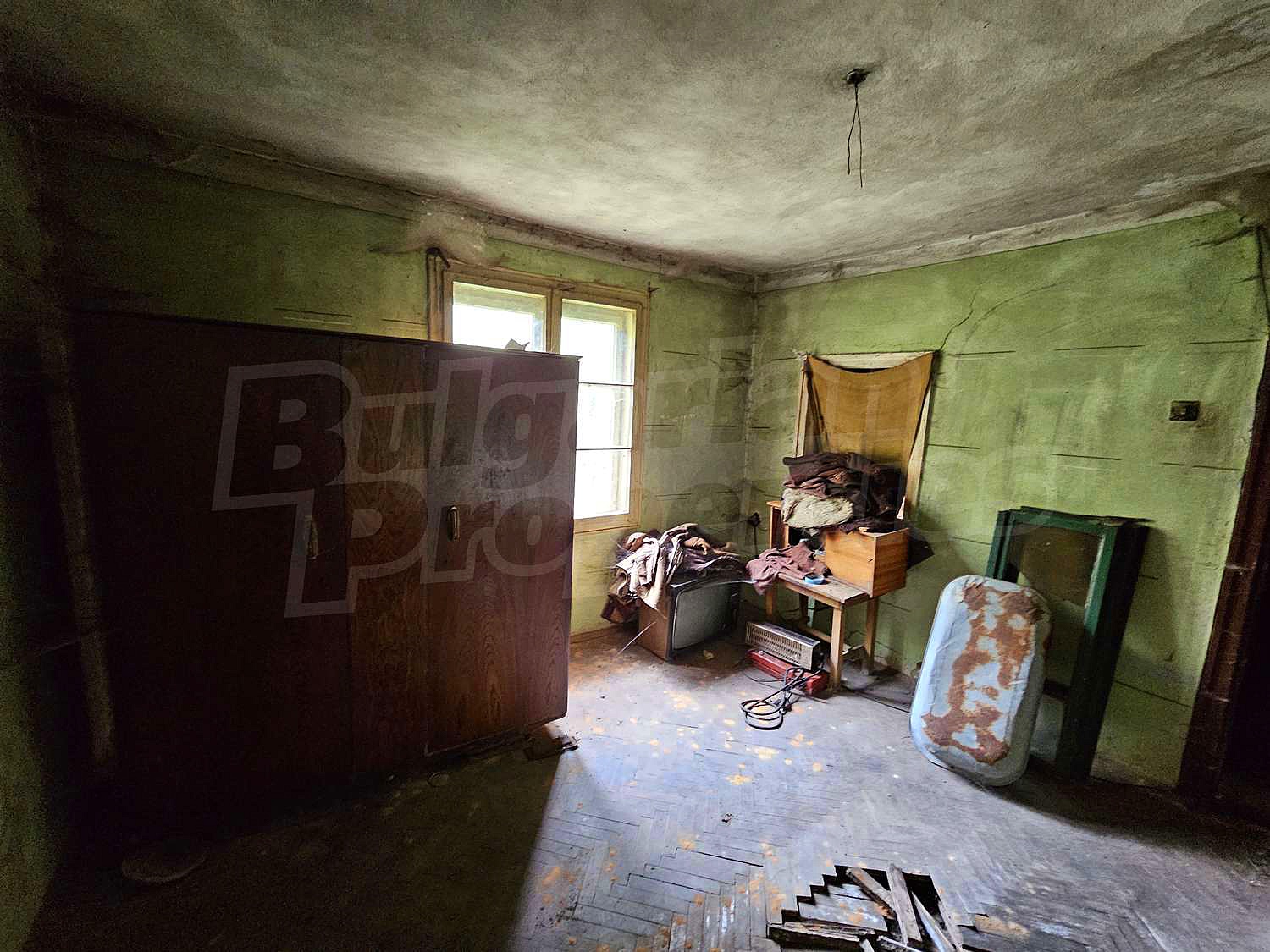 Gallery Picture 16
