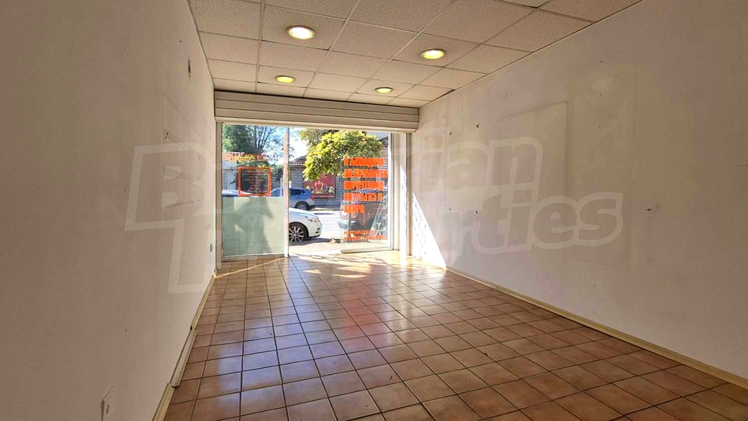 Gallery Picture 5