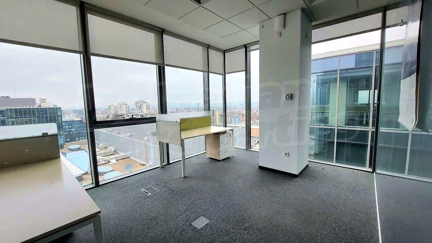 Gallery Picture 10