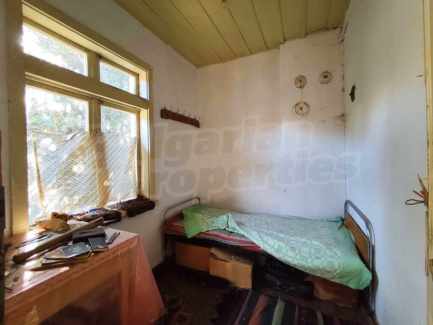 Gallery Picture 13