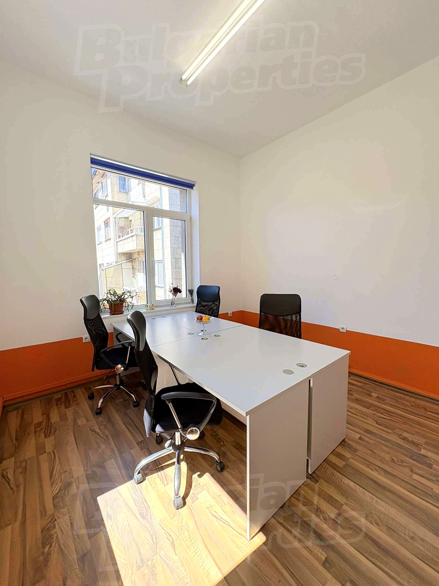 Gallery Picture 16