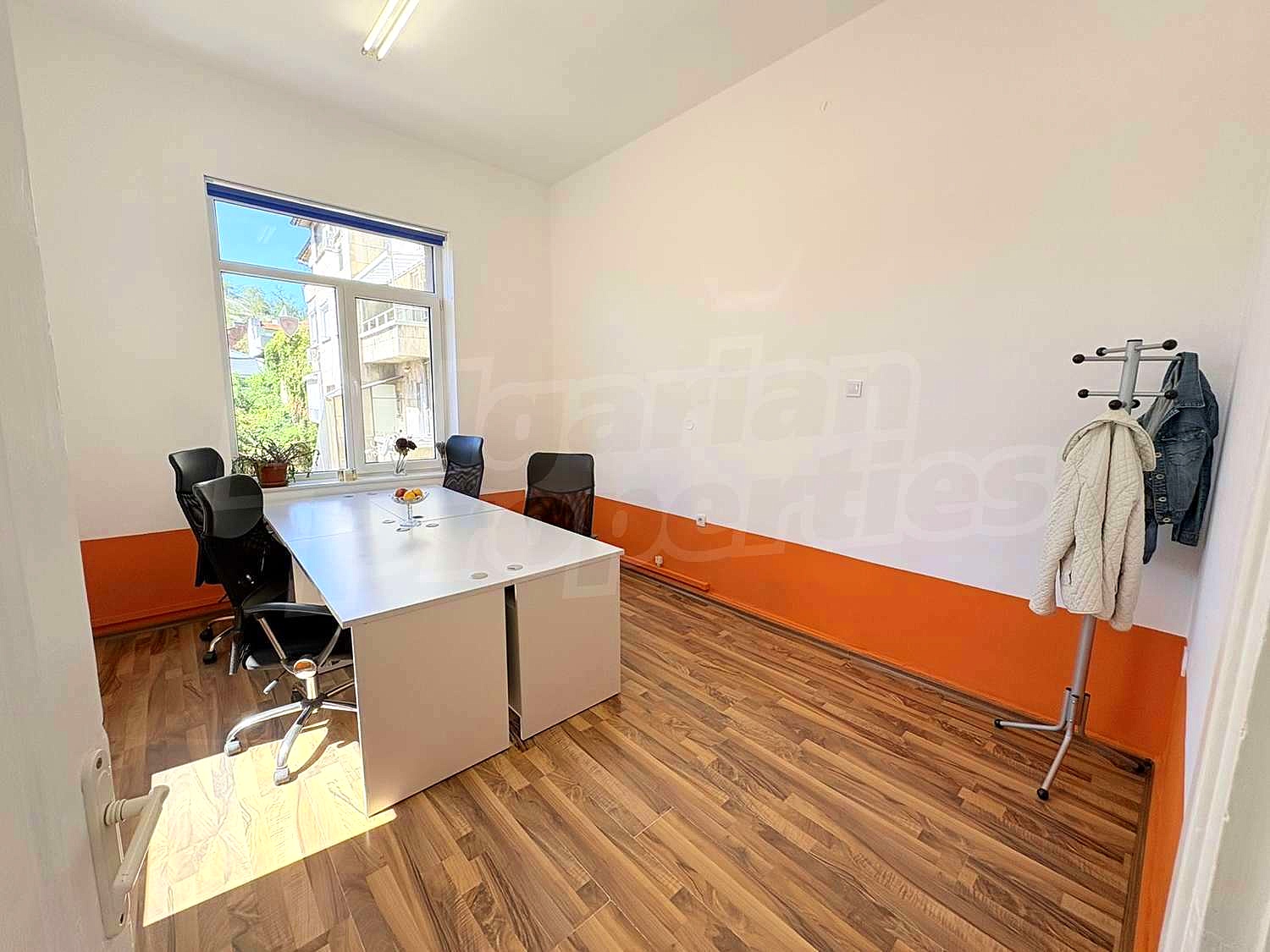 Gallery Picture 17