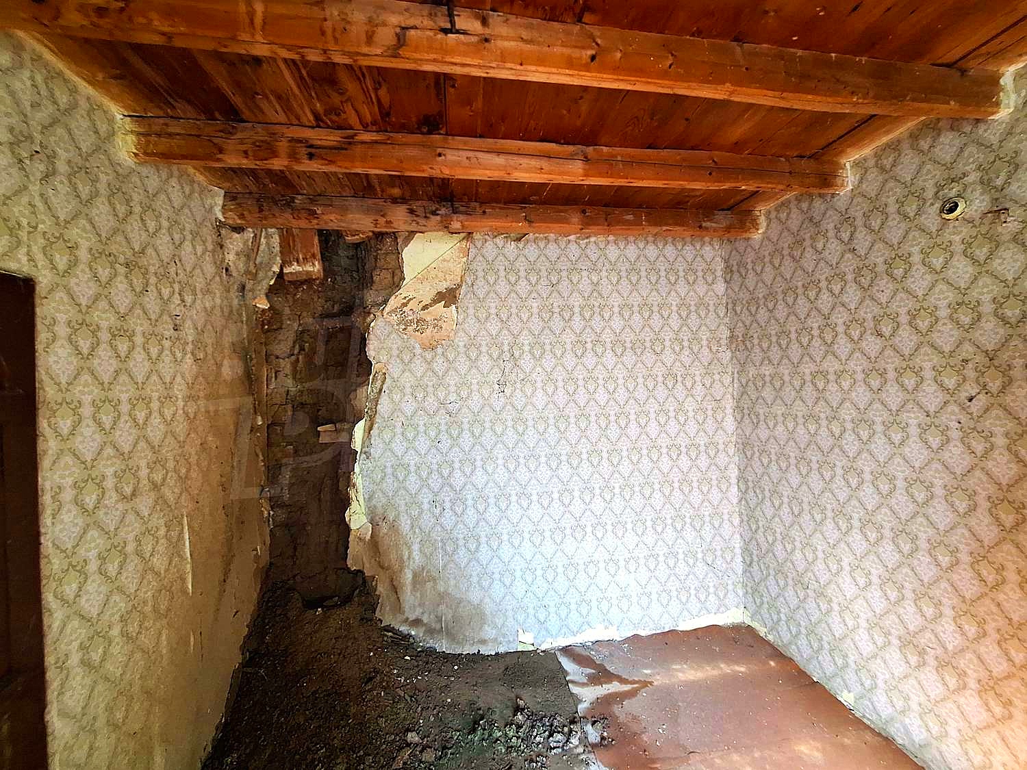 Gallery Picture 15