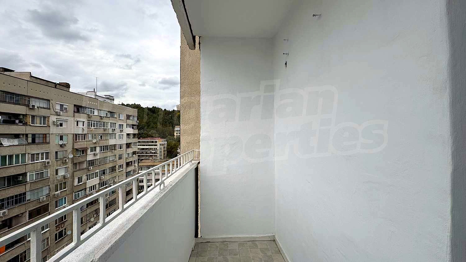 Gallery Picture 26