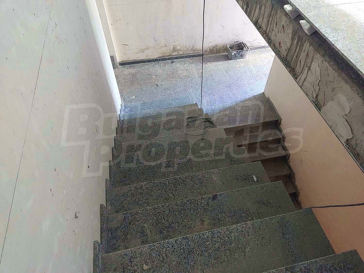 Gallery Picture 28